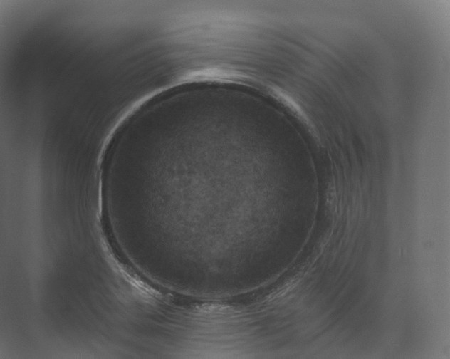 X0000073481323200608071010