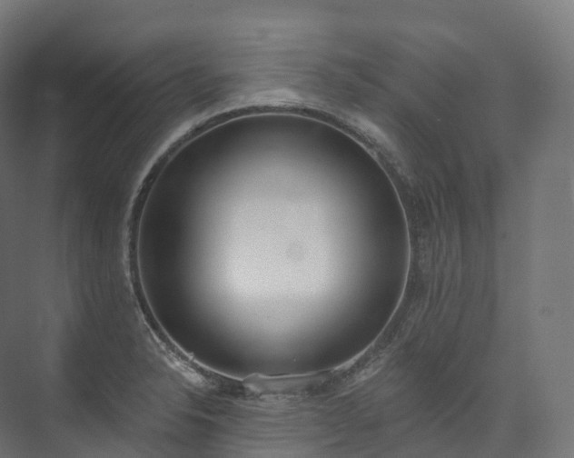 X0000073481326200608071010