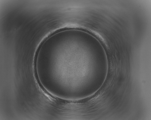 X0000073481327200608071011