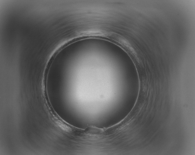 X0000073481328200608071011