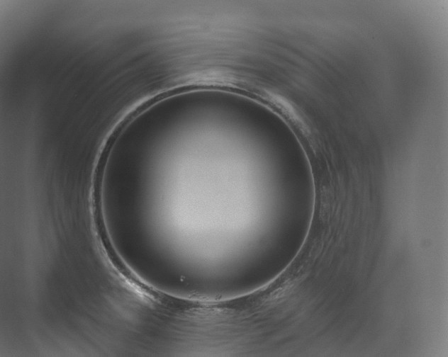 X0000073481331200608071011