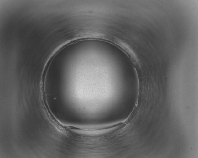 X0000073481332200608071011