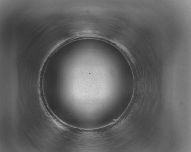 X0000073481333200608071011