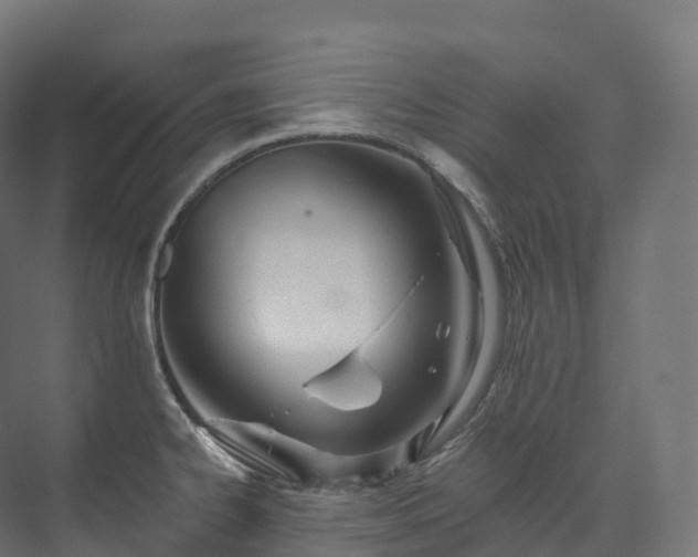 X0000073481334200608071011