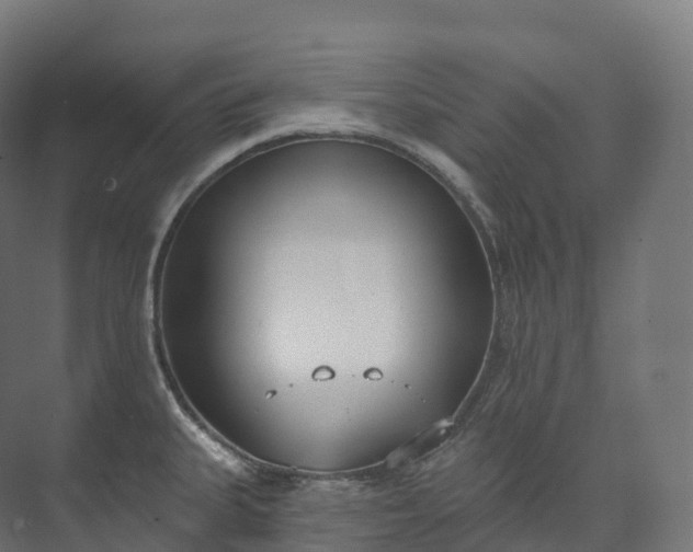 X0000073481335200608071011