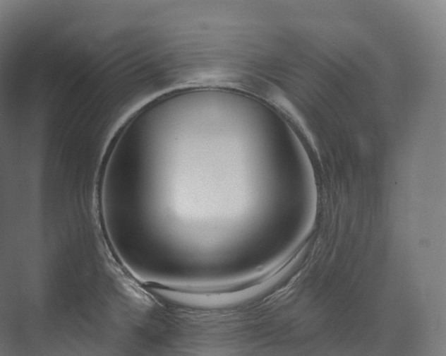 X0000073481336200608071011