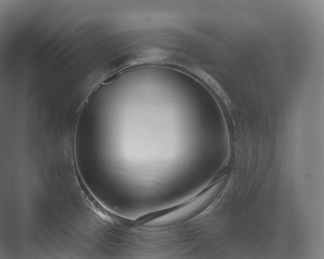 X0000073481337200608071011