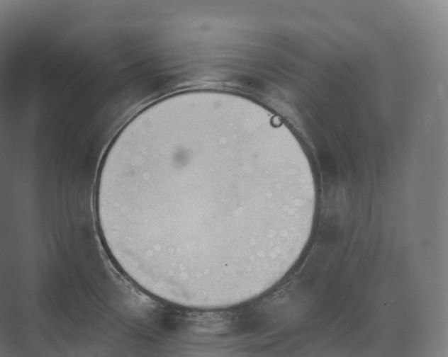 X0000073481338200608071011