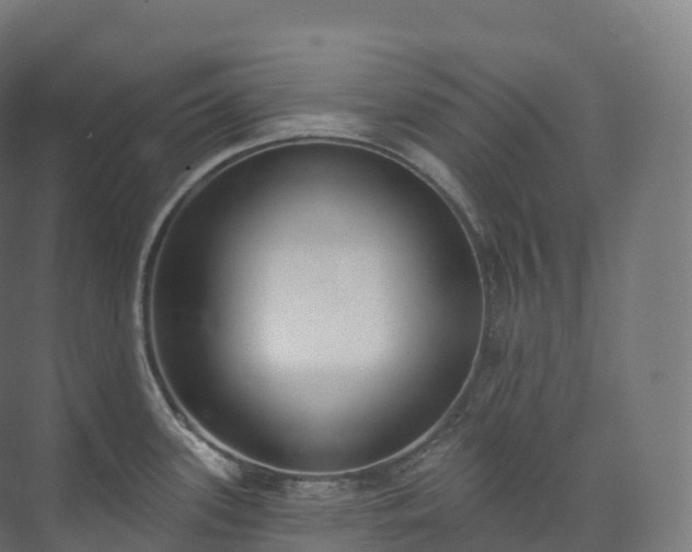 X0000073481339200608071011