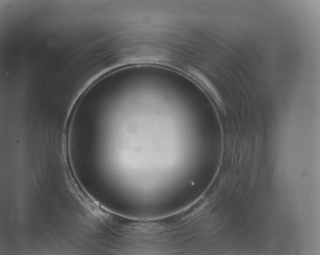 X0000073481340200608071011