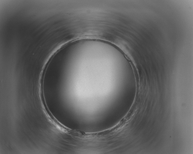 X0000073481341200608071011