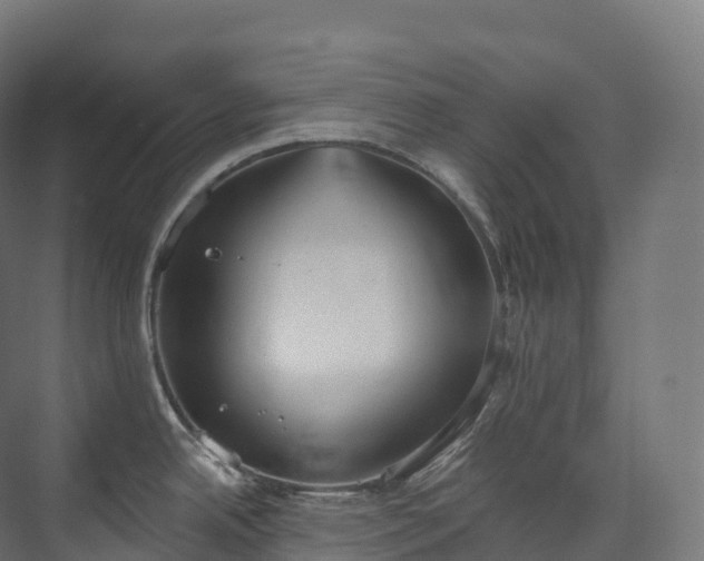 X0000073481342200608071011