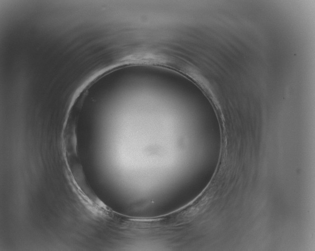 X0000073481344200608071011