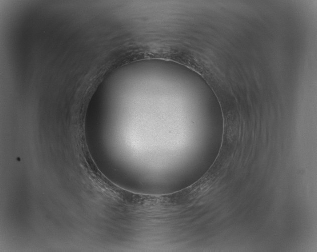 X0000073481345200608071010