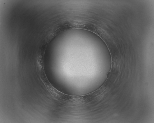 X0000073481346200608071010