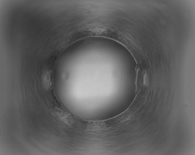 X0000073481347200608071010