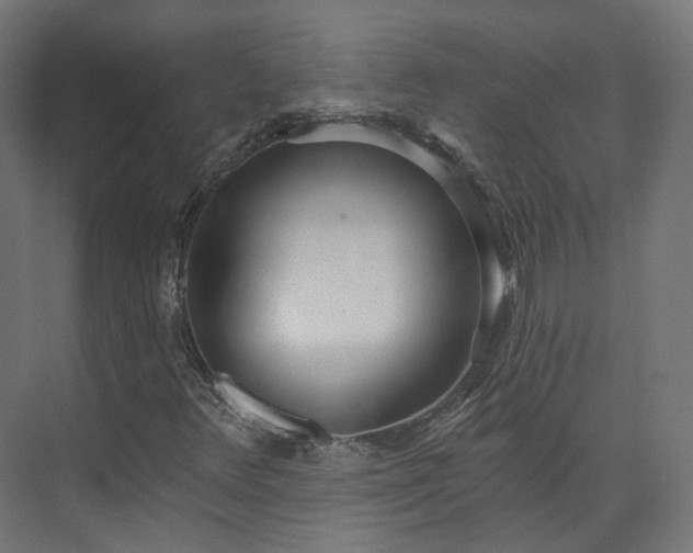 X0000073481348200608071010