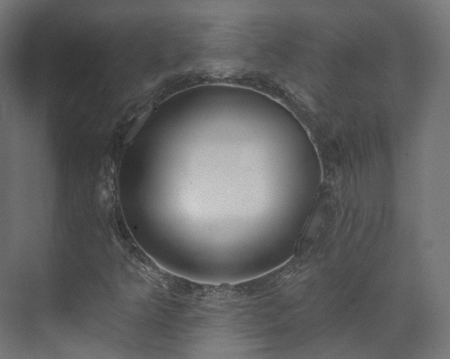 X0000073481349200608071010