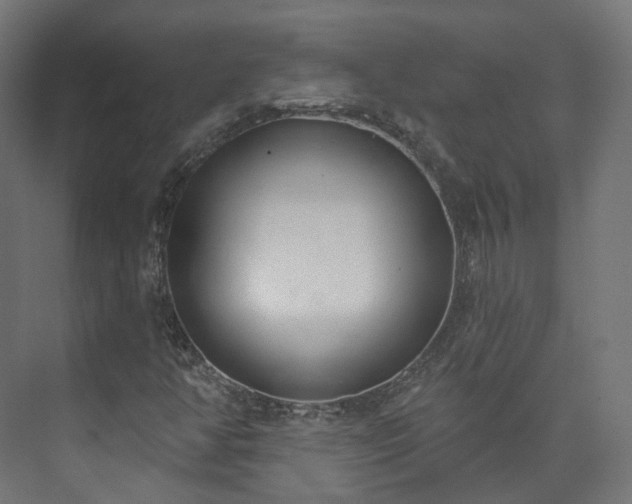 X0000073481350200608071010