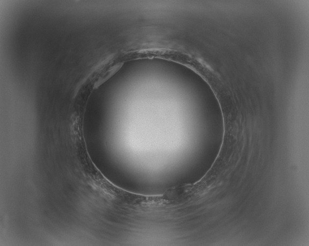 X0000073481351200608071010