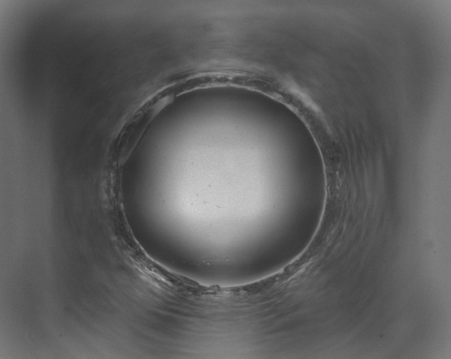 X0000073481352200608071010