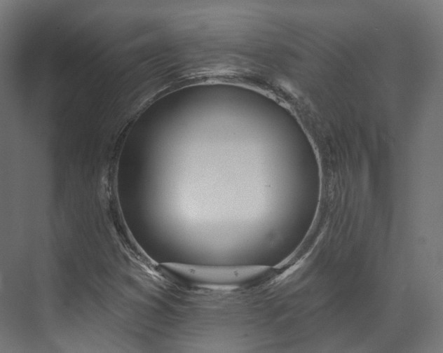 X0000073481353200608071010