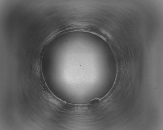 X0000073481354200608071010