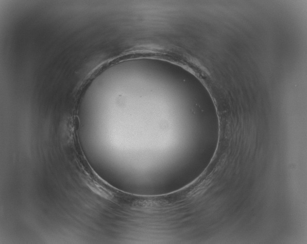 X0000073481355200608071010