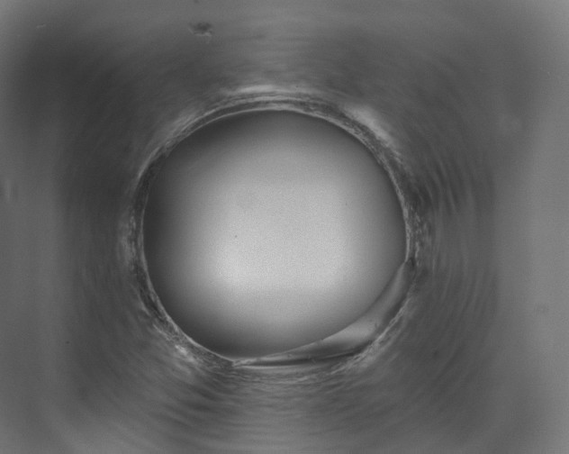 X0000073481357200608071010