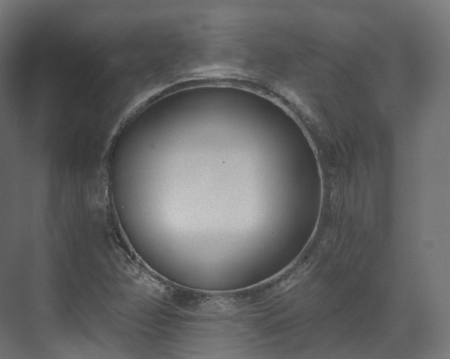 X0000073481358200608071010