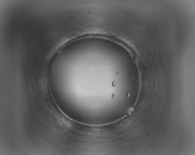 X0000073481359200608071010