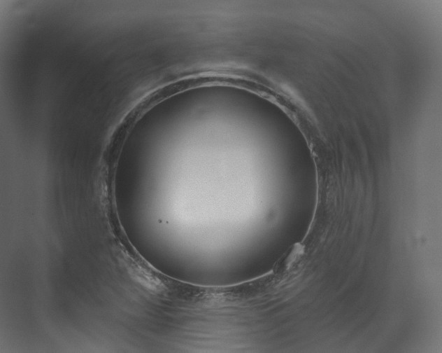 X0000073481360200608071010