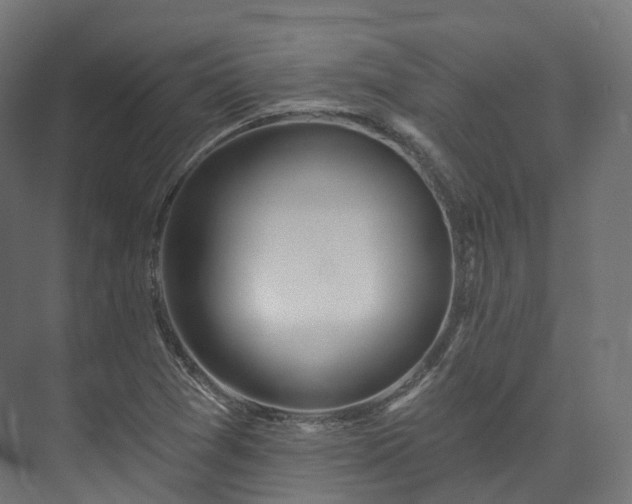 X0000073481361200608071010