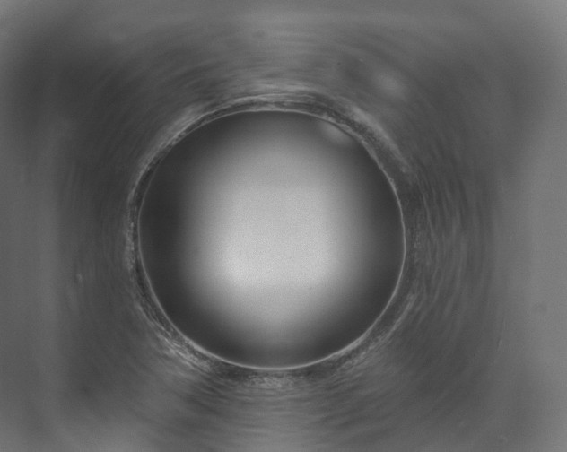 X0000073481362200608071010