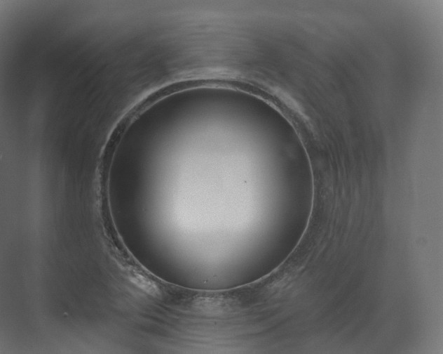 X0000073481364200608071010