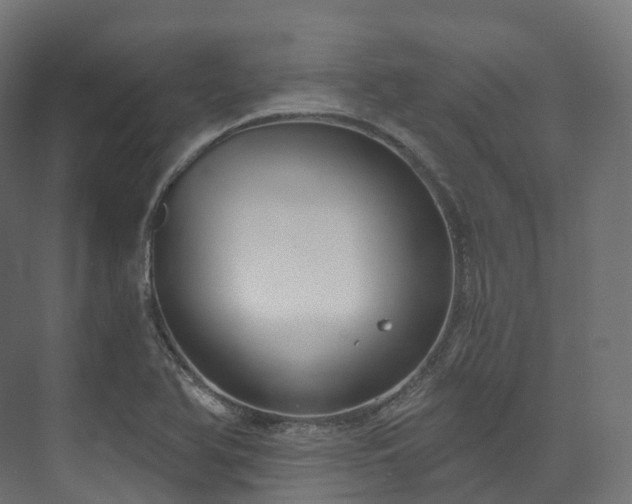 X0000073481366200608071010