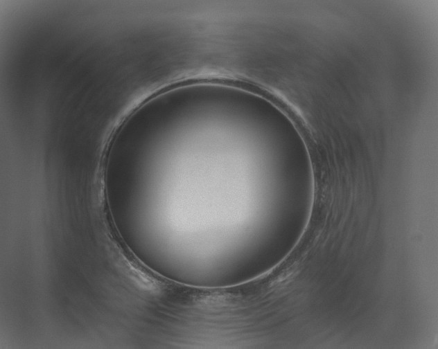 X0000073481367200608071010