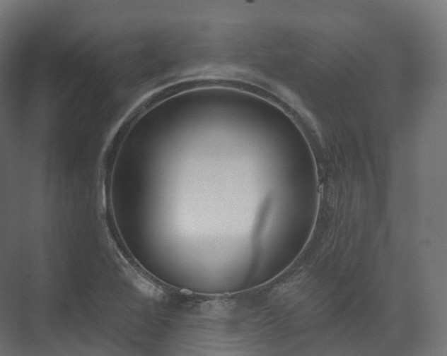 X0000073481368200608071010