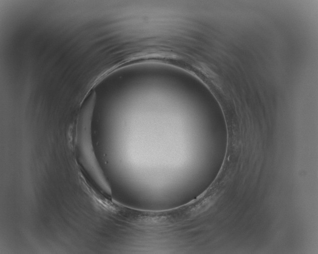 X0000073481369200608071010