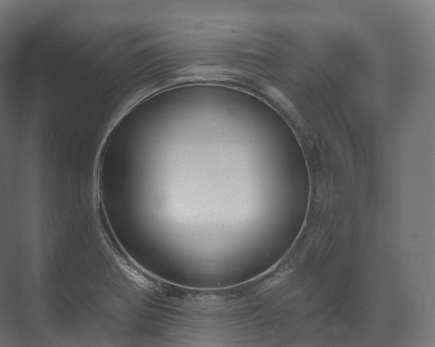 X0000073481370200608071010