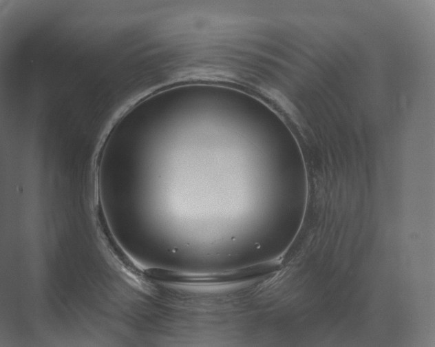 X0000073481371200608071010