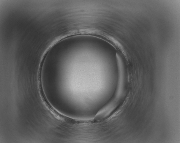 X0000073481373200608071010