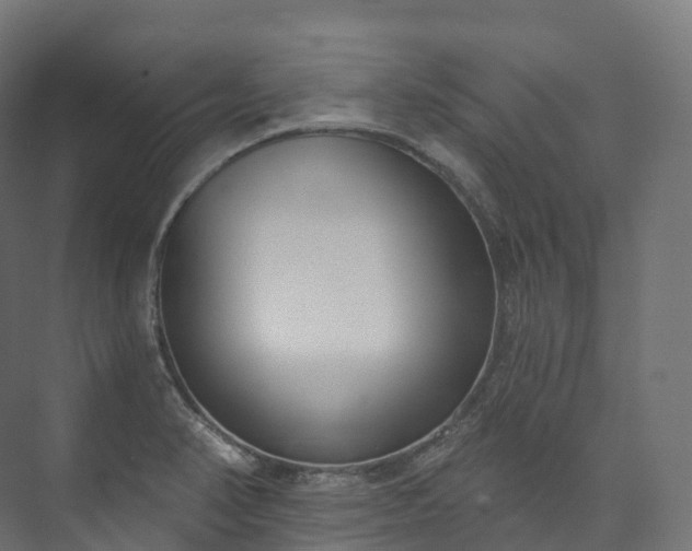 X0000073481374200608071009