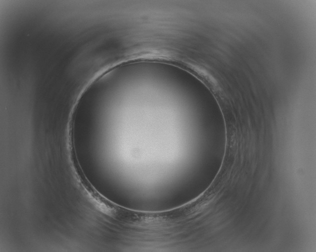 X0000073481375200608071009