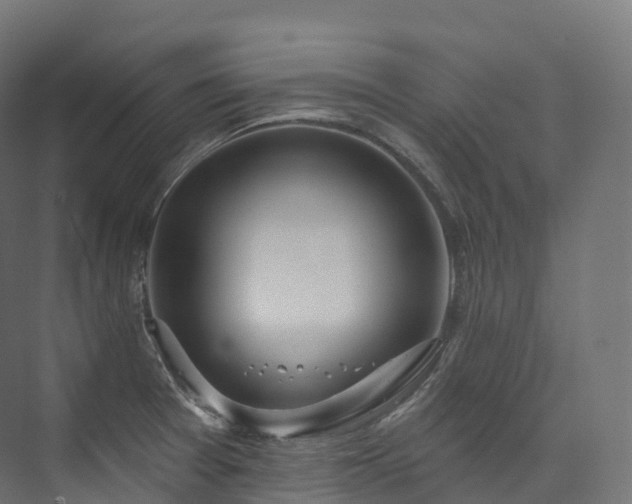 X0000073481377200608071009