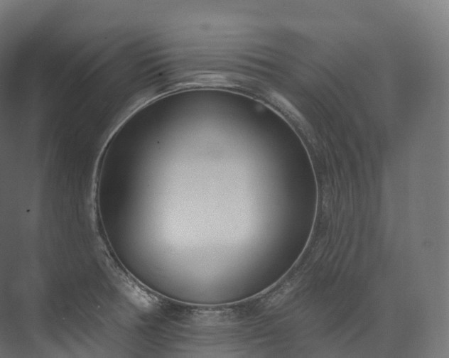 X0000073481378200608071009