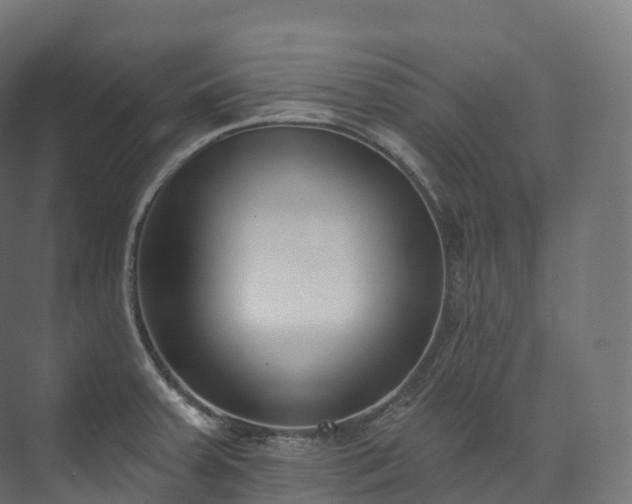 X0000073481379200608071009