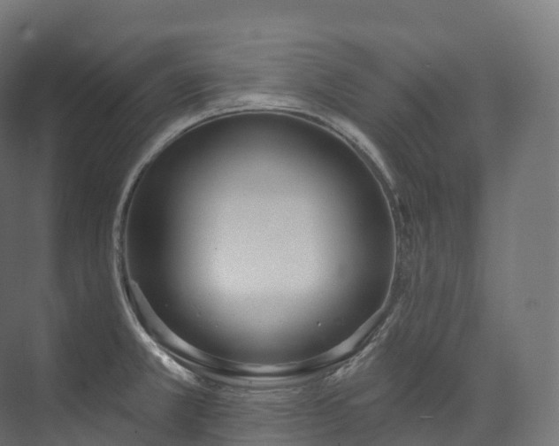 X0000073481381200608071009