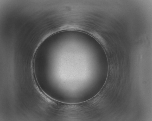 X0000073481382200608071009