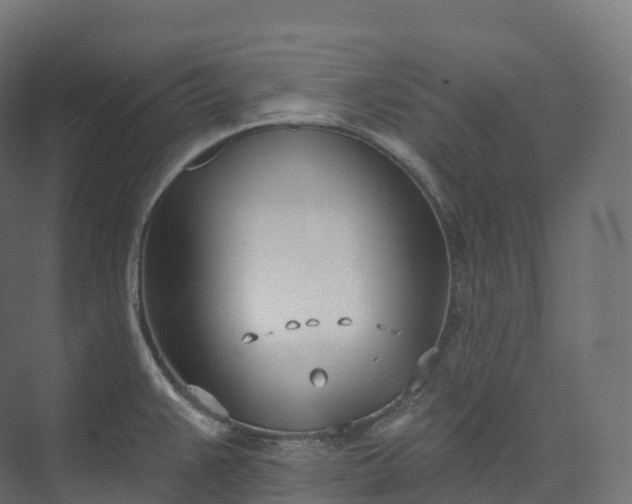 X0000073481383200608071009